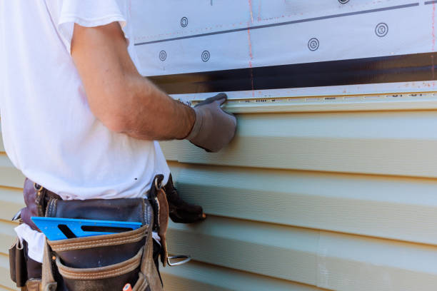 Affordable Siding Repair solutions in Sidney, IL